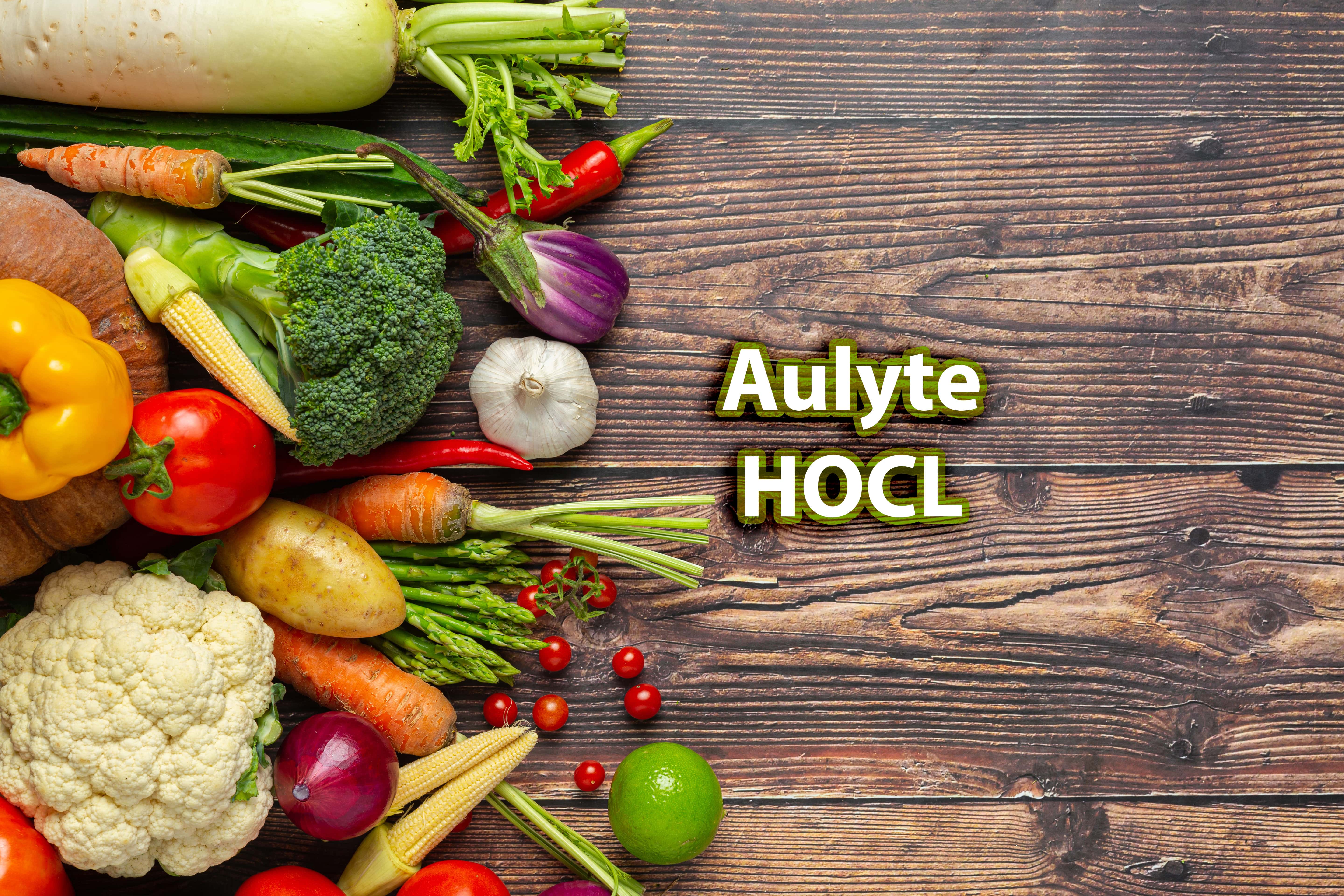 Gıda, Meyve ve Sebze Hijyen & İşleme Ürünleri